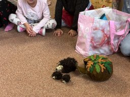 Akce s Wendy Bílkovou